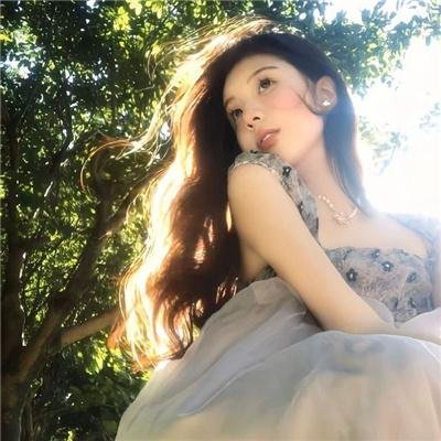 梦墙